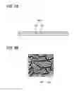 Fig. 04 - GRAPHENE, GRAPHENE-INCLUDING LAYER, ELECTRODE, AND POWER STORAGE DEVICE