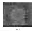 Fig. 02 - ALUMINOUS CEMENTS USING COAL FLY ASH