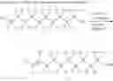 Fig. 06 - Deuterated idebenone