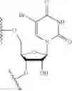 Fig. 12 - Lipid formulations