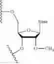 Fig. 16 - Lipid formulations