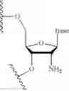 Fig. 20 - Lipid formulations