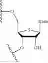 Fig. 22 - Lipid formulations