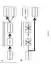 Fig. 03 - Sigma receptor ligands and methods of modulating cellular protein homeostasis using same