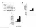 Fig. 07 - Sigma receptor ligands and methods of modulating cellular protein homeostasis using same