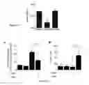 Fig. 16 - Sigma receptor ligands and methods of modulating cellular protein homeostasis using same