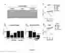 Fig. 32 - Sigma receptor ligands and methods of modulating cellular protein homeostasis using same