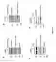 Fig. 44 - Sigma receptor ligands and methods of modulating cellular protein homeostasis using same