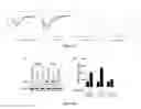Fig. 47 - Sigma receptor ligands and methods of modulating cellular protein homeostasis using same