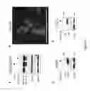 Fig. 55 - Sigma receptor ligands and methods of modulating cellular protein homeostasis using same