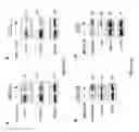 Fig. 56 - Sigma receptor ligands and methods of modulating cellular protein homeostasis using same