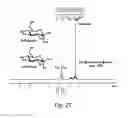 Fig. 28 - Small molecule catalyst for 5-hydroxymethylfurfural production from saccharides