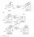 Fig. 03 - Conversion of oxycodone base to oxycodone hydrochloride