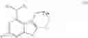 Fig. 32 - PROTEASOME ACTIVITY ENHANCING COMPOUNDS