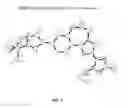 Fig. 04 - Polymorphs of 2-(4-(2-(1-isopropyl-3-methyl-1H-1,2,4-triazole-5-yl)-5,6-dihydrobenzo[F]imidazo [1,2-D][1,4]oxazepin-9-yl)-1H-pyrazol-1-yl)-2-methylpropanamide, methods of production, and pharmaceutical uses thereof