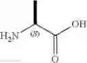 Fig. 02 - Beta-Arrestin Effectors And Compositions And Methods Of Use Thereof