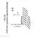 Fig. 09 - RECOMBINANT RSV ANTIGENS