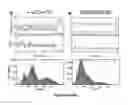 Fig. 09 - FRET-based reagents and methods for identifying anti-HIV compounds