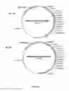 Fig. 08 - Vaccines and methods for using the same