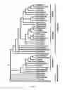 Fig. 02 - POLYNUCLEOTIDES AND POLYPEPTIDES IN PLANTS