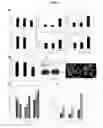 Fig. 07 - Compositions containing HC-HA/PTX3 complexes and methods of use thereof
