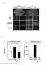 Fig. 06 - Ameliorating agent for blood-brain barrier dysfunction