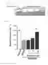 Fig. 07 - Ameliorating agent for blood-brain barrier dysfunction