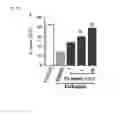 Fig. 08 - Ameliorating agent for blood-brain barrier dysfunction