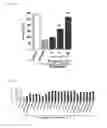 Fig. 09 - Ameliorating agent for blood-brain barrier dysfunction