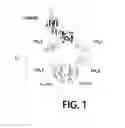 Fig. 02 - Antigen-binding molecule containing modified Fc region