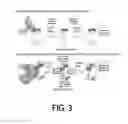 Fig. 04 - Antigen-binding molecule containing modified Fc region