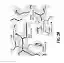 Fig. 22 - Antigen-binding molecule containing modified Fc region