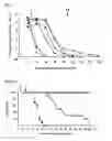 Fig. 02 - Anti-HSV antibody
