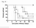 Fig. 09 - Anti-HSV antibody