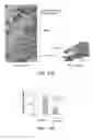 Fig. 20 - Compositions and Methods for the Removal of Biofilms