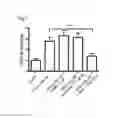 Fig. 08 - Methods and Compositions for Treating or Diagnosing Melanoma