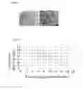 Fig. 11 - Methods and Compositions for Treating or Diagnosing Melanoma