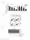 Fig. 13 - Methods and Compositions for Treating or Diagnosing Melanoma