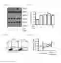 Fig. 30 - Methods and Compositions for Treating or Diagnosing Melanoma