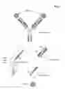 Fig. 02 - MULTISPECIFIC ANTIBODIES