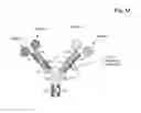 Fig. 06 - MULTISPECIFIC ANTIBODIES