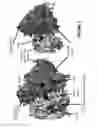 Fig. 02 - Targeting rare human PCSK9 variants for cholesterol treatment