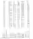 Fig. 23 - Highly diverse combinatorial antibody libraries
