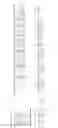 Fig. 24 - Highly diverse combinatorial antibody libraries
