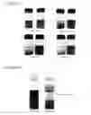 Fig. 03 - Functionalized amphiphilic plant-based polymers