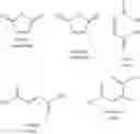Fig. 08 - Functionalized amphiphilic plant-based polymers