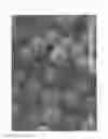 Fig. 02 - Method for producing polymer particles, polymer particles, filler for chromatography column, and chromatography column