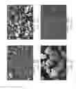 Fig. 04 - Binder composition and hardcore panel fabrication