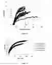 Fig. 06 - HEAT-RESISTANT POLYOLEFIN COMPOSITIONS SUITABLE FOR FILMS