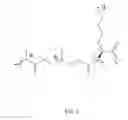 Fig. 04 - Poly((lactic-co-glycolic acid)-B-lysine) and process for synthesizing a block copolymer of PLGA {poly(lactic-co-glycolic acid)} and PLL (poly-ϵ-cbz-L-lysine)